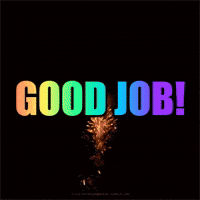 Great Job GIF by Justin