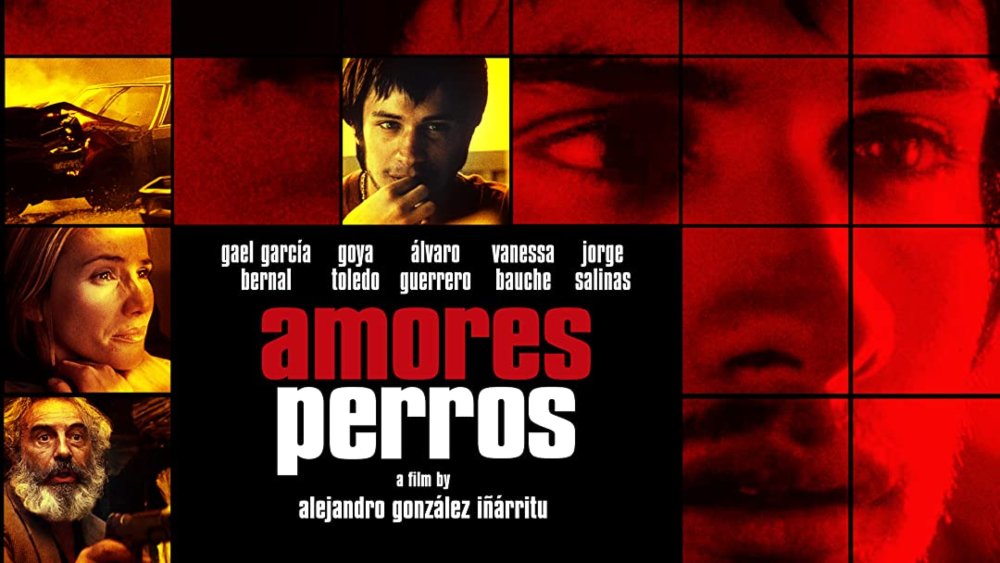 Amores Perros
