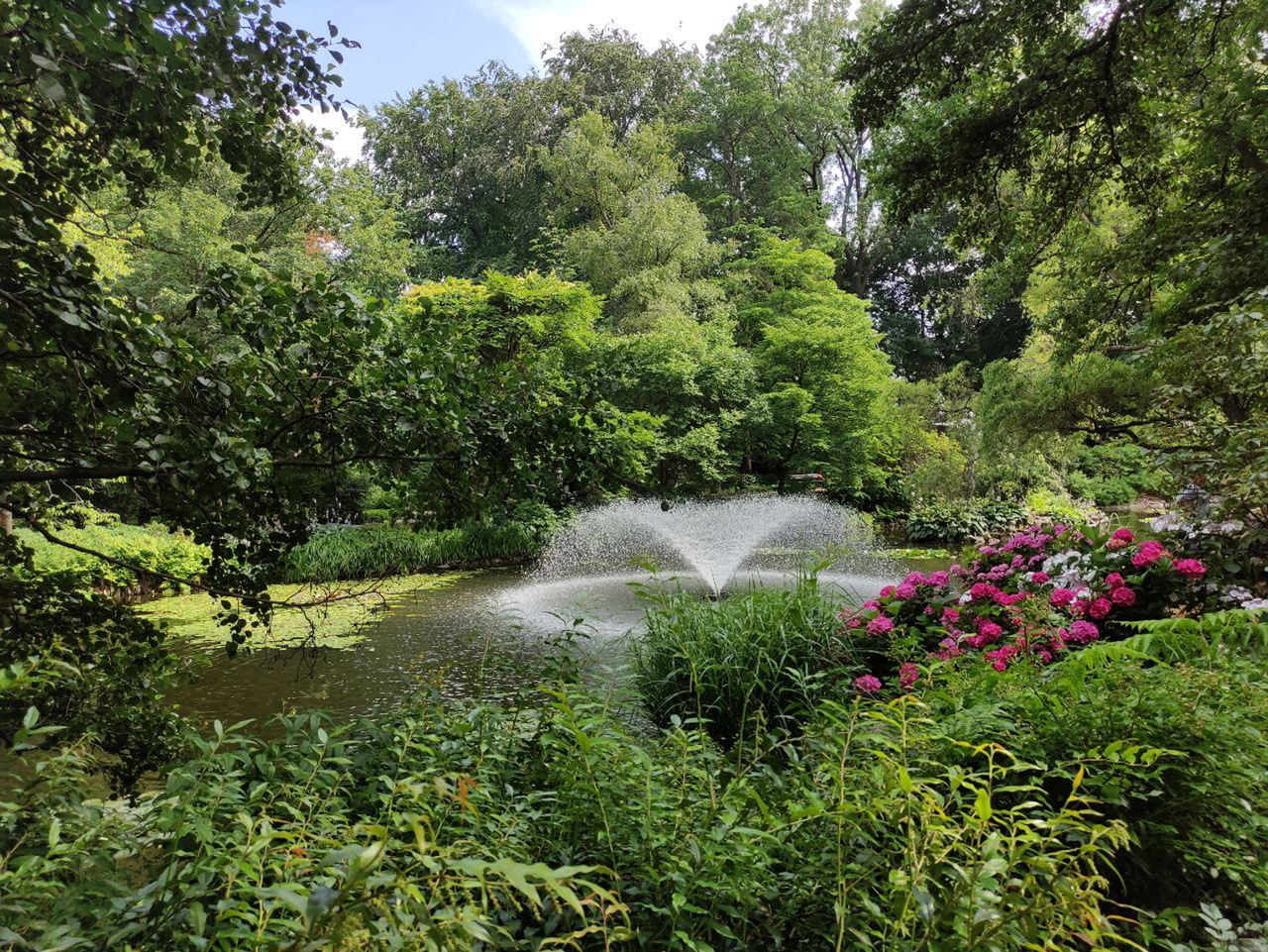 Wroclaw. Botanical garden (Ogród Botaniczny Uniwersytetu Wrocławskiego)