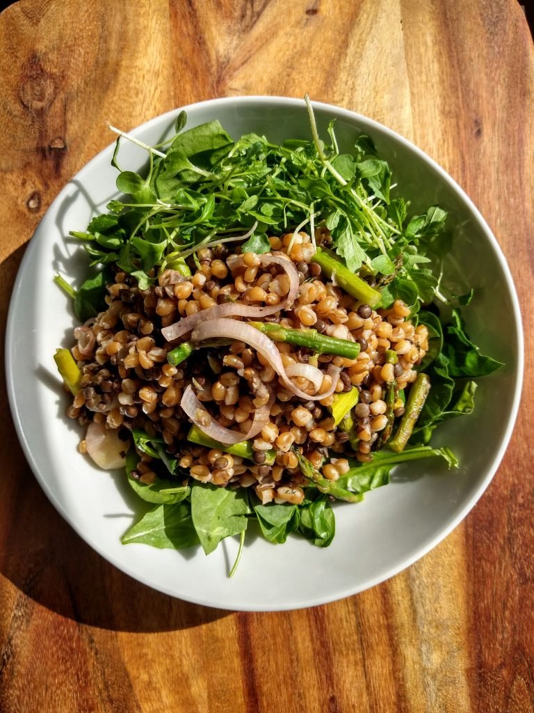 Wheat Berry & Black Lentil Salad with Citrus Dressing