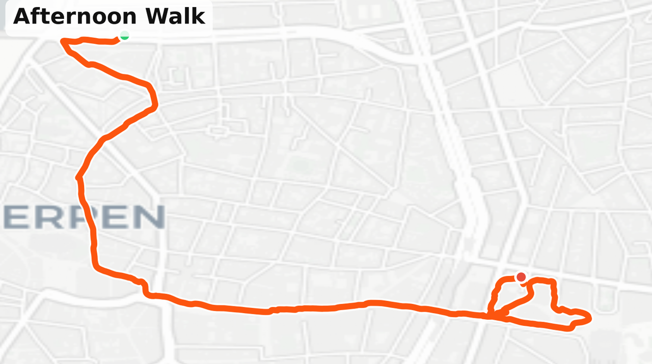 MAPS.PNG