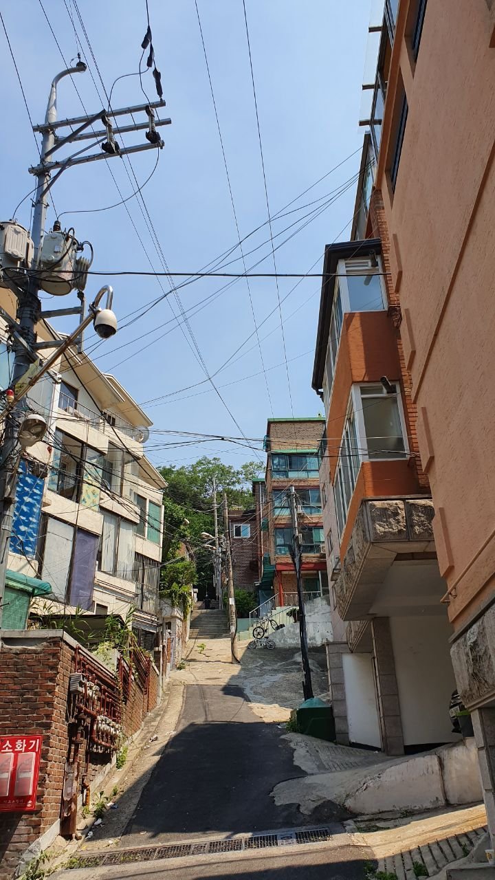 도리안의 일기 #271 - 처음 가본 와우근린공원, MINI 토큰. 고비를 만났는지? | PeakD