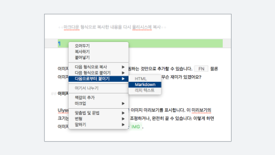 다음으로부터 붙여넣기 -> Markdown