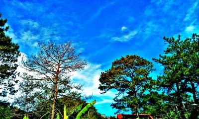 Sunny day ...jpg