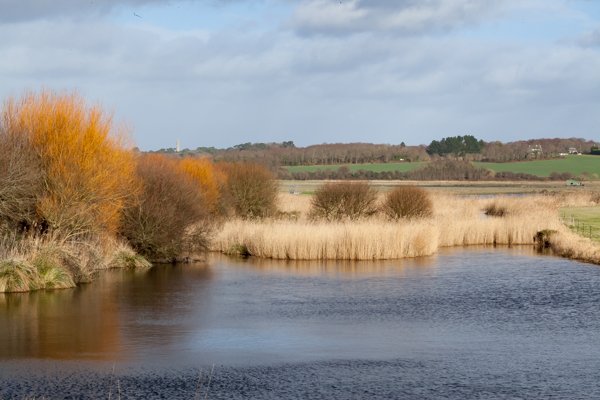 Etang du lock-Export net MD-1.jpg