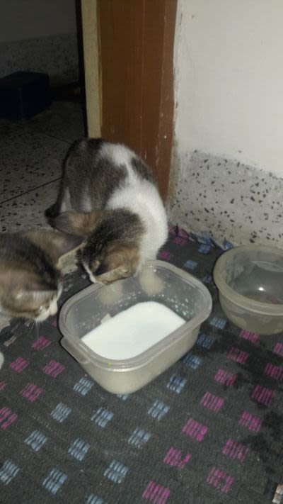 20180207_185431.jpg