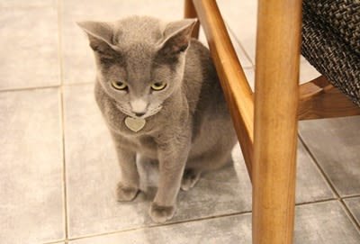 카페4.jpg