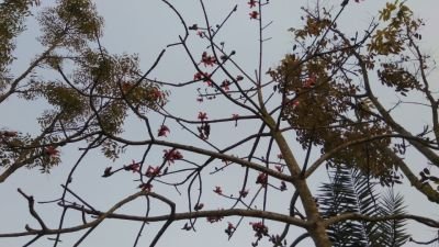 IMG_20180228_172927.jpg