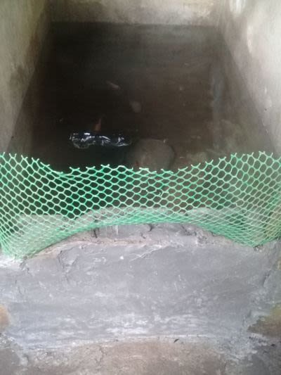 20180313_110555.jpg