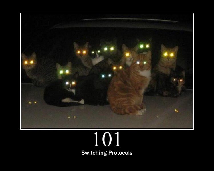 HTTP Cats