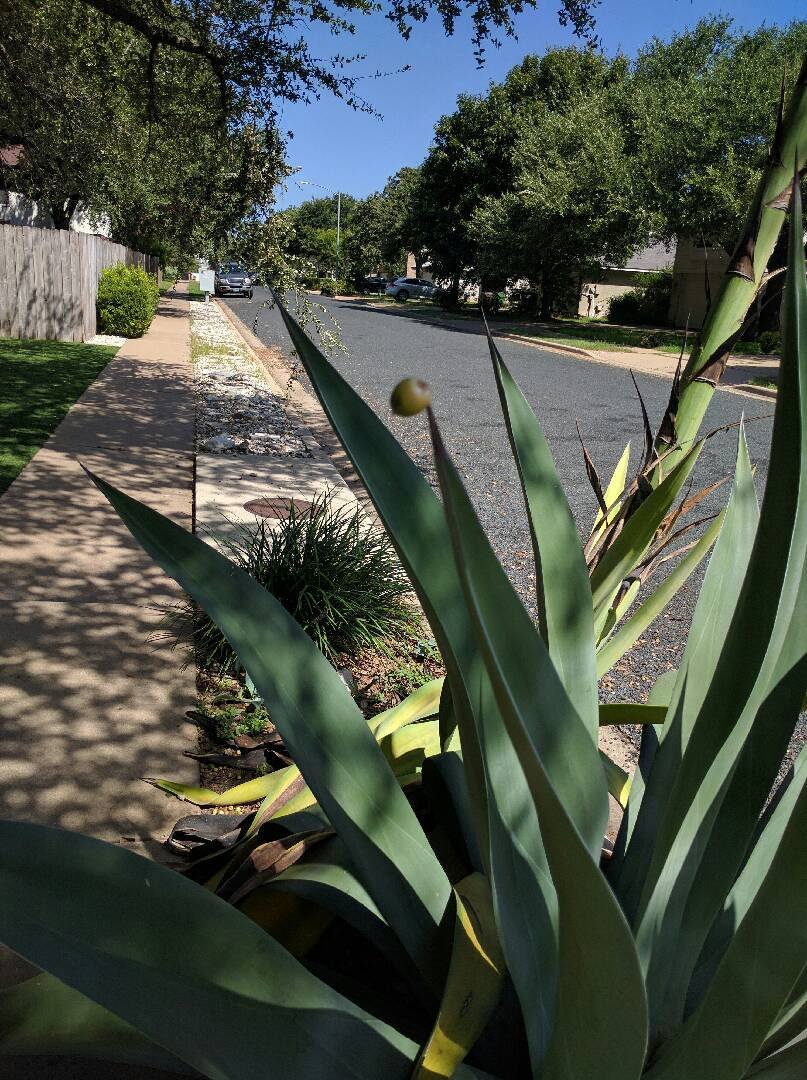 image posted from steemy