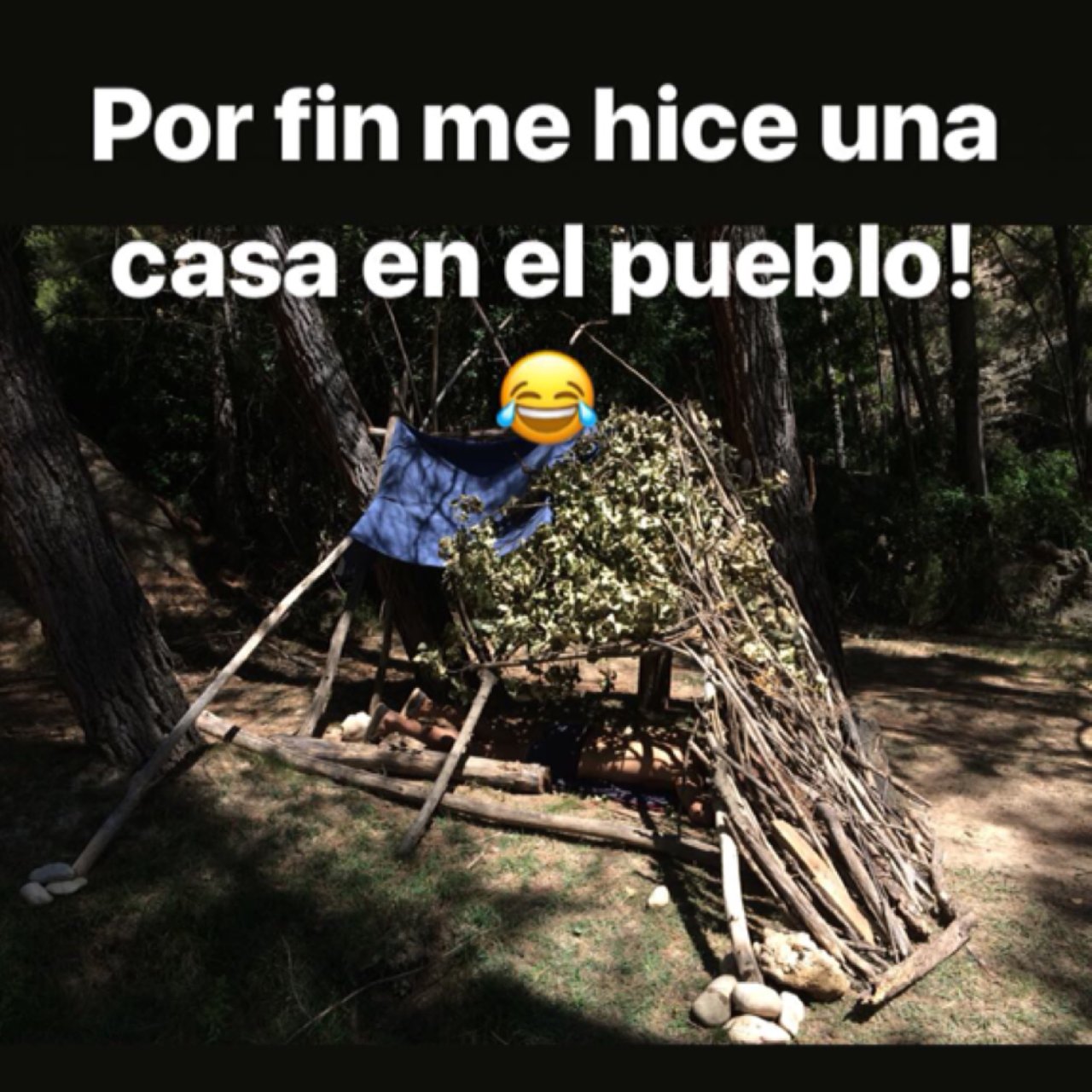 00edc76d8e546f71feadb6c57bd9b99f