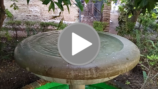 videos/1012d5d6b901a569bfc769a435066a07-00001.png
