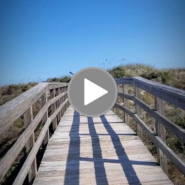videos/9db87dda62ea1213704bac3cdce813cc-00001.png