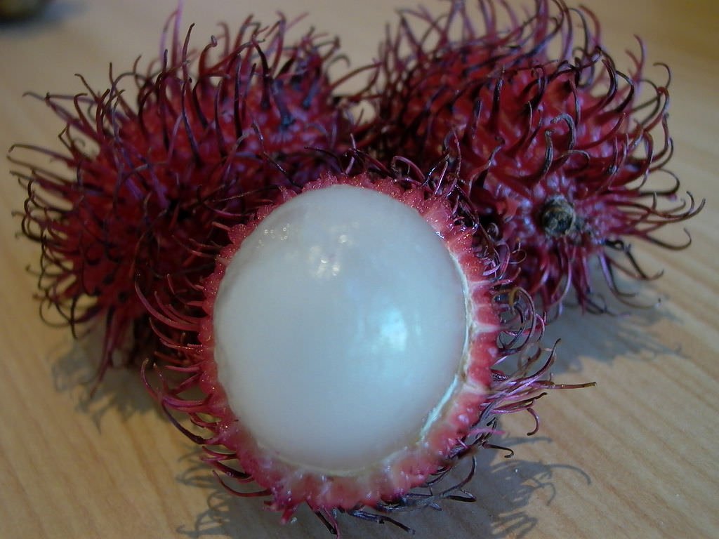 rambutan2.jpg