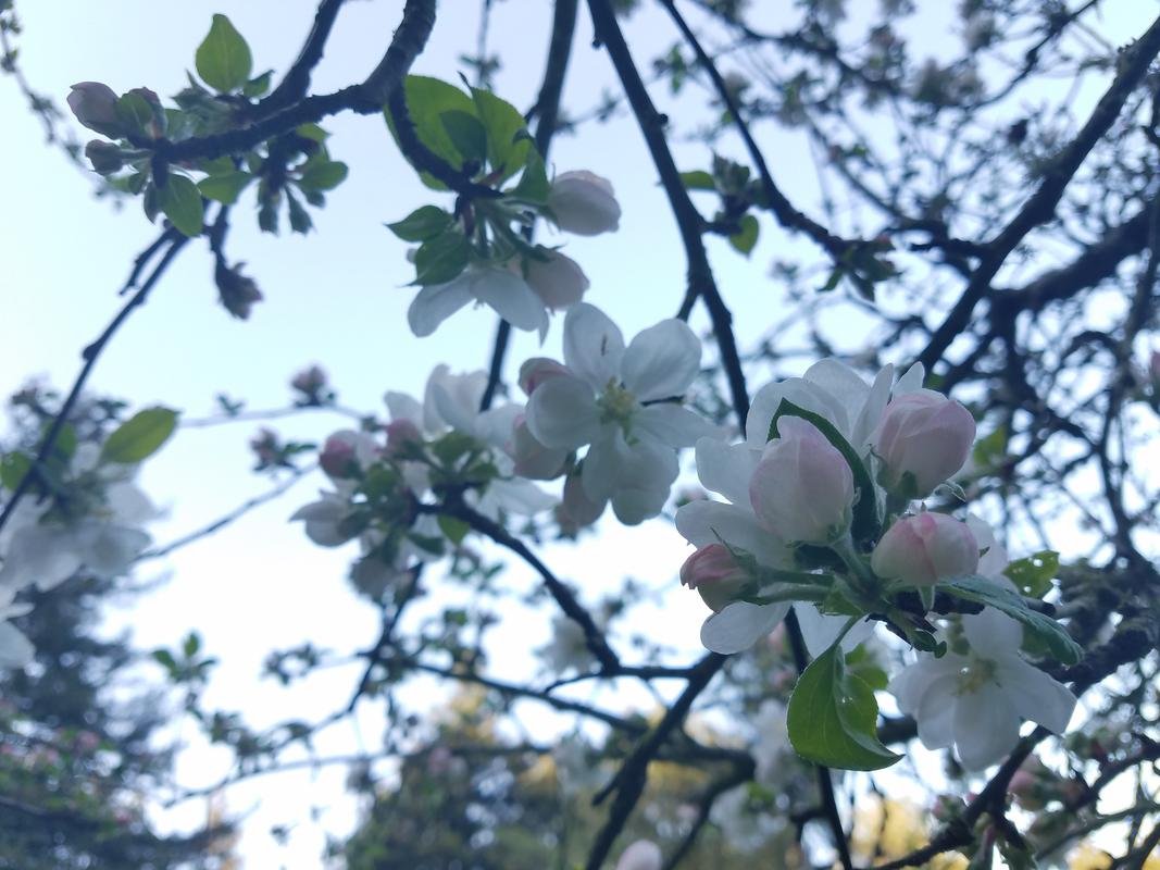 20180408_180948.jpg