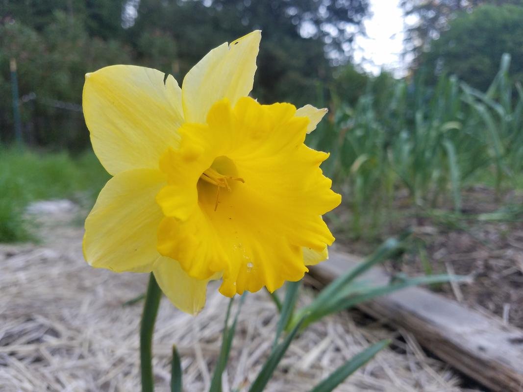 20180408_180913.jpg
