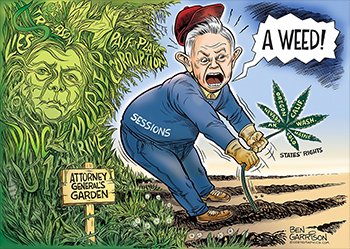 https://static.infowars.com/politicalsidebarimage/sessions-weed.jpg