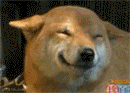 untitled.gif