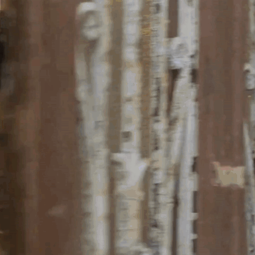 untitled.gif
