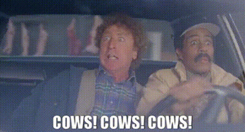 untitled.gif