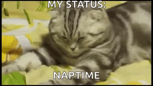 untitled.gif