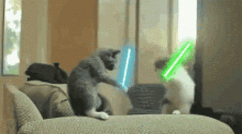 untitled.gif
