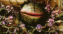 untitled.gif