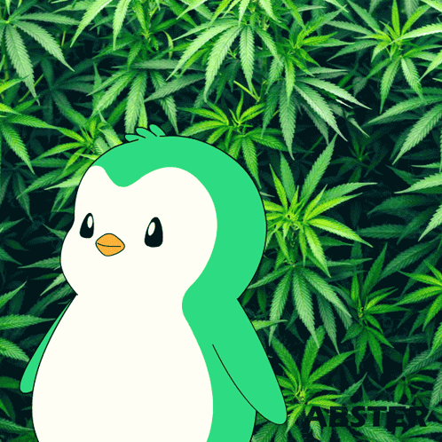 untitled.gif