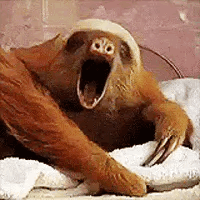 untitled.gif