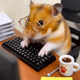 untitled.gif