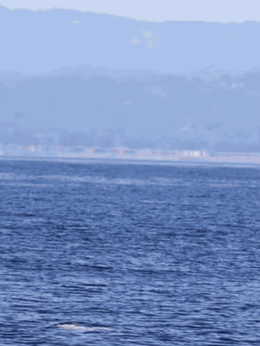 untitled.gif