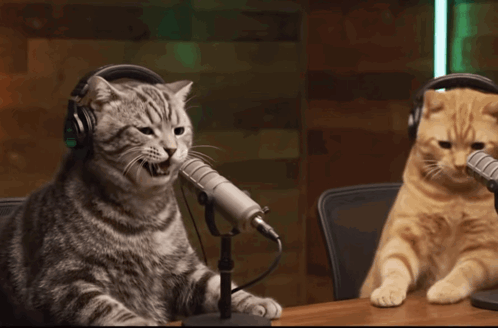 untitled.gif