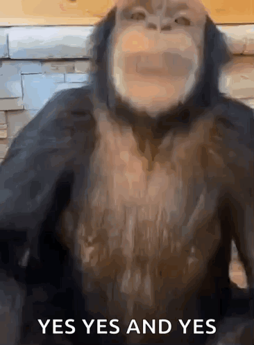 untitled.gif