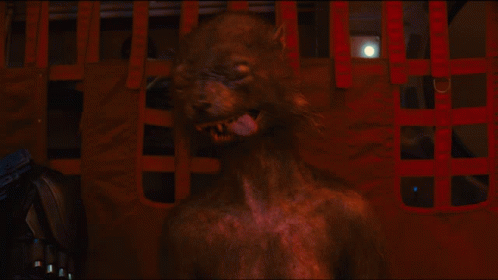 untitled.gif