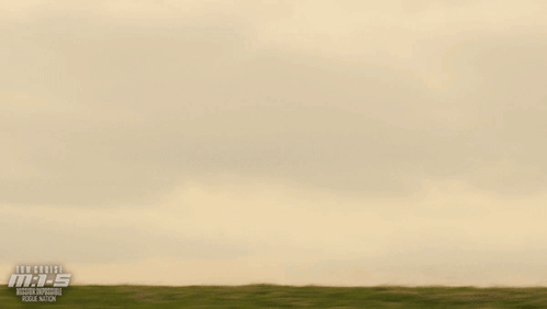 untitled.gif