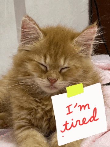 untitled.gif