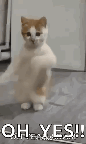 untitled.gif