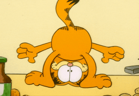 untitled.gif
