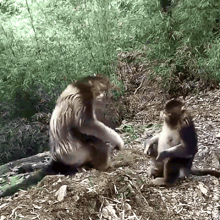 untitled.gif
