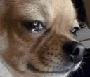 untitled.gif