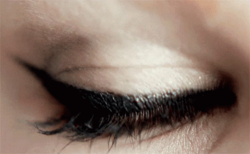 untitled.gif