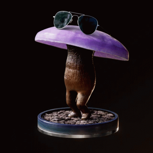 untitled.gif