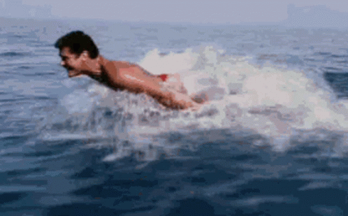 untitled.gif