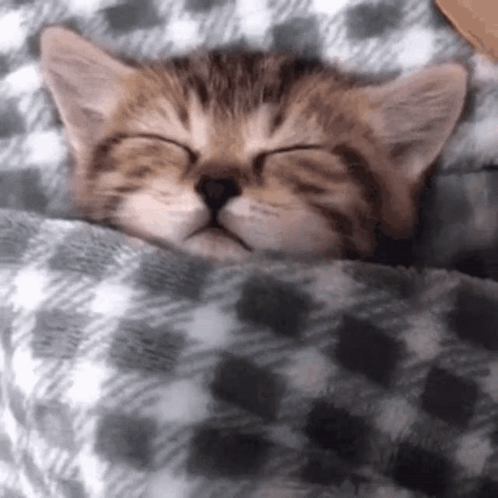 untitled.gif