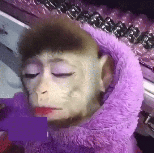 untitled.gif