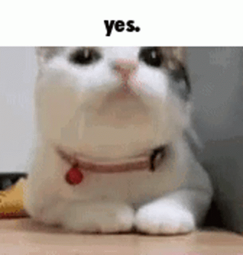 untitled.gif