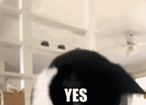 untitled.gif