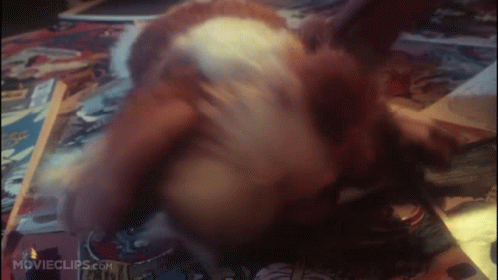untitled.gif