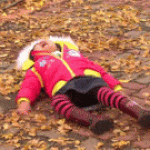 untitled.gif